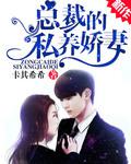 总裁的神秘恋人