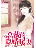 总裁的隐婚暖妻