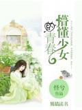 懵懂少女的青春