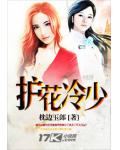 护花冷少