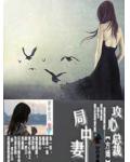 攻心总裁局中妻