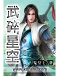 武碎星空