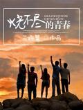 烧不尽的青春
