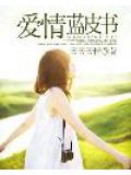 爱情蓝皮书