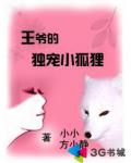 王爷的小狐狸