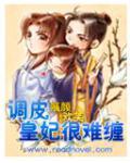 调皮皇妃好难缠
