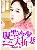 豪门密爱：腹黑冷少天价妻