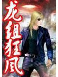龙组狂风
