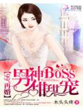99&deg;再婚:男神boss甜甜宠