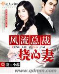 风流总裁挠心妻
