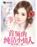 首领的纯洁小情人