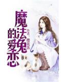 魔法兔的爱恋
