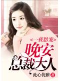 一夜恩宠：晚安，总裁大人