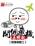 开个飞机去明朝