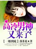 一婚到底,高冷男神又来了