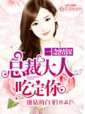 一念情深：总裁大人吃定你