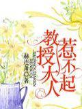 教授大人,惹不起