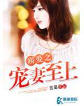 溺爱之宠妻至上