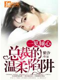 一见倾心：总裁的温柔陷阱
