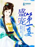 盛宠第一妾