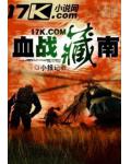 血战藏南