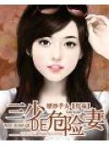 三少的危险妻