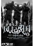 重生之风起民国2