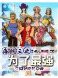 海贼王之为了最强
