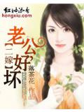 二嫁:老公,好坏!