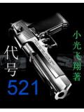 代号521