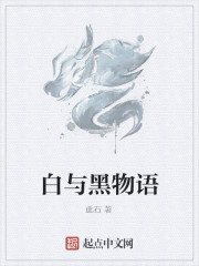 100世纪&mdash;&mdash;白与黑物语